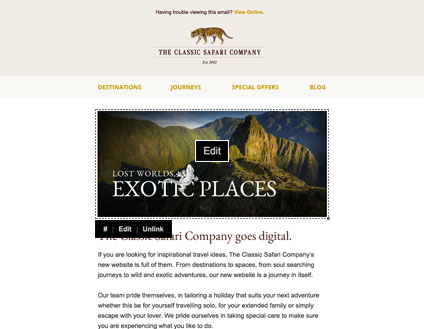 Email Campaigns