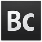Adobe Business Catalyst Partner